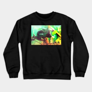 Сhameleon sitting on a tree branch Crewneck Sweatshirt